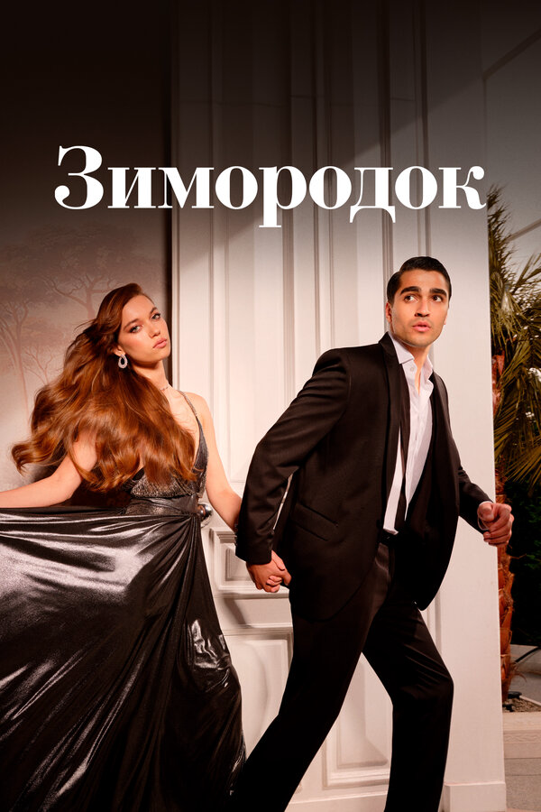 Зимородок - постер сериала
